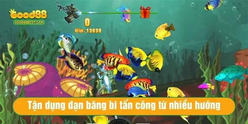 Tận dụng đạn băng bi tấn công vào cá từ nhiều hướng